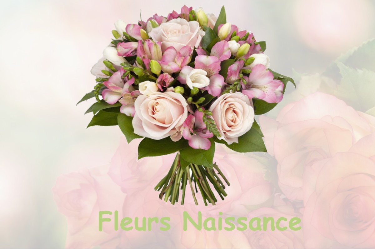 fleurs naissance VAVRAY-LE-GRAND